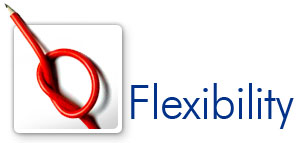 Flexibility