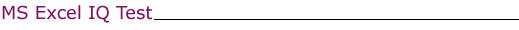 MS Excel IQ Test